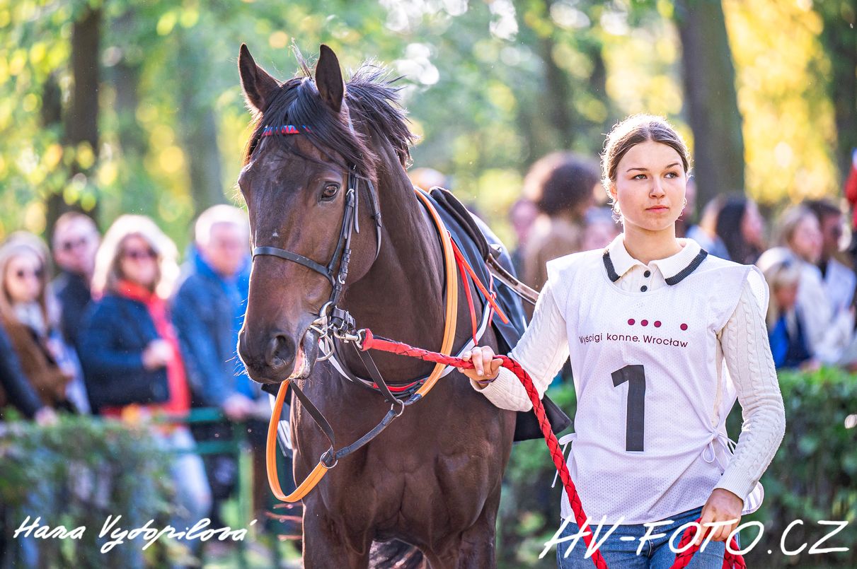 DSC_2413 kopie.jpg
